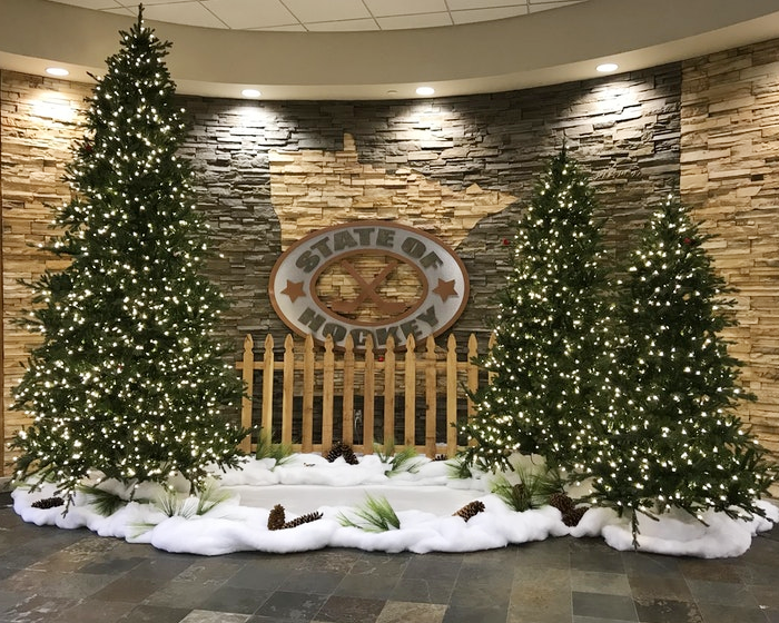 Fir trees on display in hockey lobby
