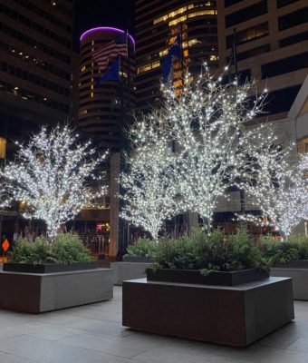 Winter Lights and Planters