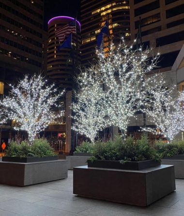Winter Lights and Planters