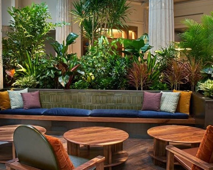 Decorative plants behind mcm furniture