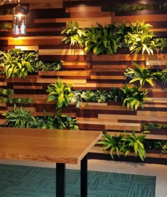 Wood Wall with Planters