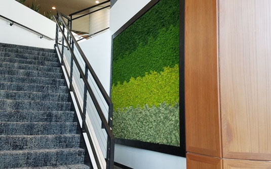 Living Moss Wall By Staircase
