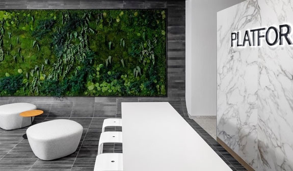 Living moss wall in modern lobby