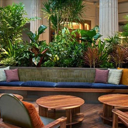 Lobby plants behind seating area