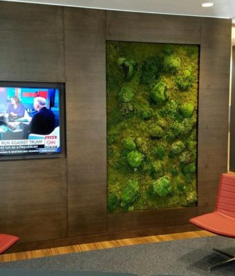 Mosswall MCM Chairs