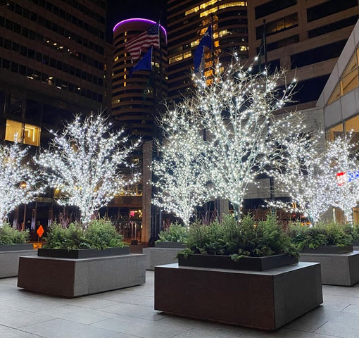 Outside planters in front of lighted trees
