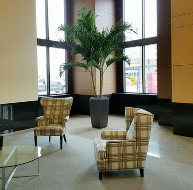 Plant In Wells Fargo Lobby