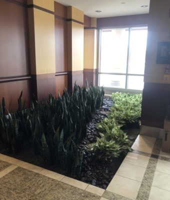 Planter in Lobby