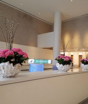 Planters in Lobby on counter