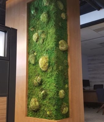 RSMMPLS moss wall