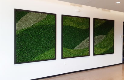 Three regis living moss walls